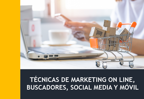 Técnicas de Marketing Online, Buscadores, Social Media y Móvil - COMM049PO